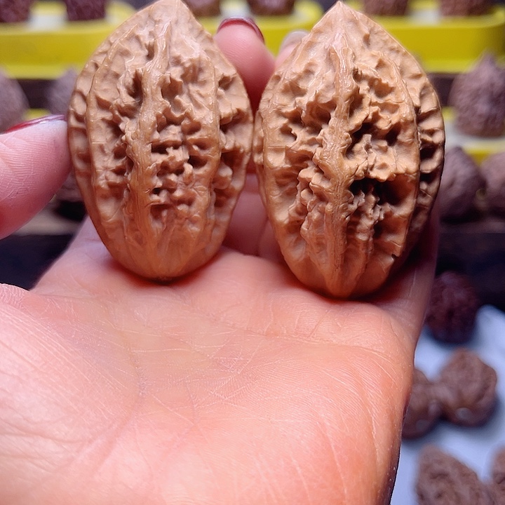 核桃25号车放漏漏漏咯