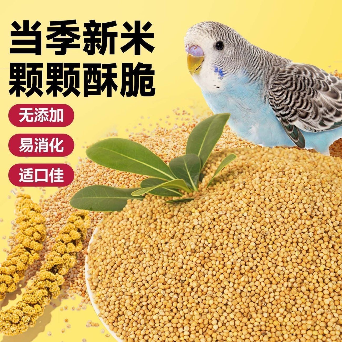 5斤装鹦鹉专用鸟粮