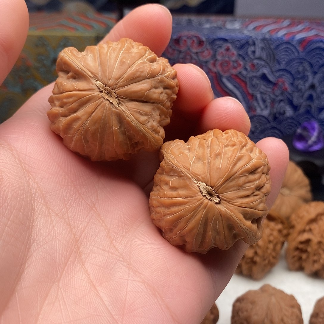 落****40➕铁锤妹妹文玩核桃