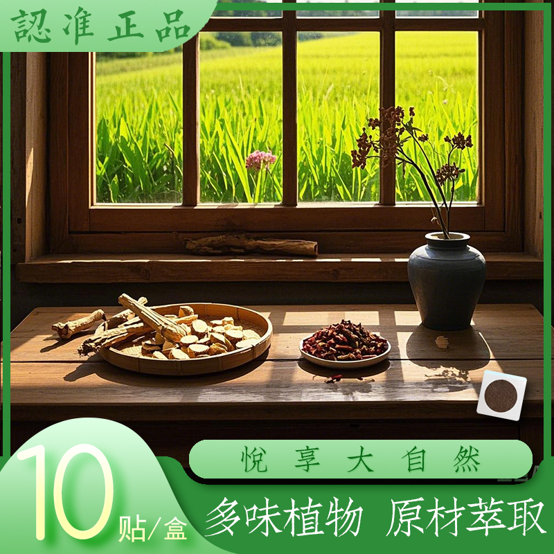 与众不同丨草本甄选丨芊芊包