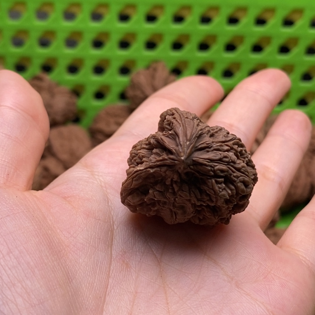 逻***辑核桃定制商品不退不换