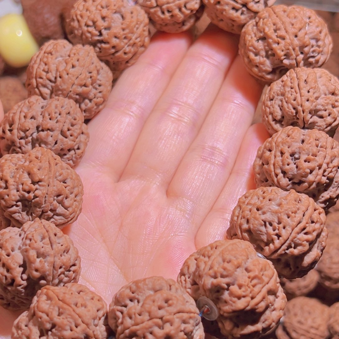 M***g金刚菩提手串梅花双龙