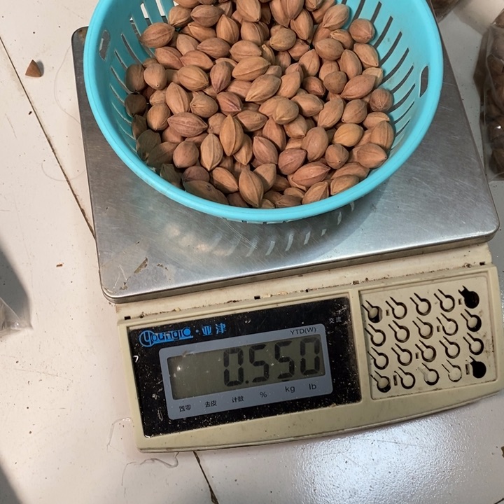 吊坠橄榄核口**非橄榄球赛