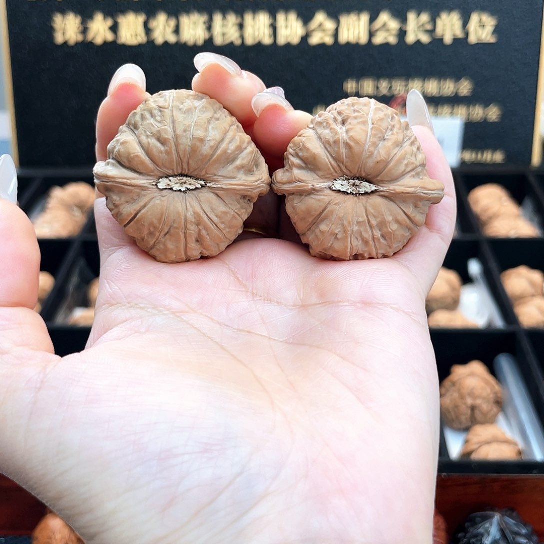 把件文玩核桃40南瓜全品球瓜正圆天配克重近正4005