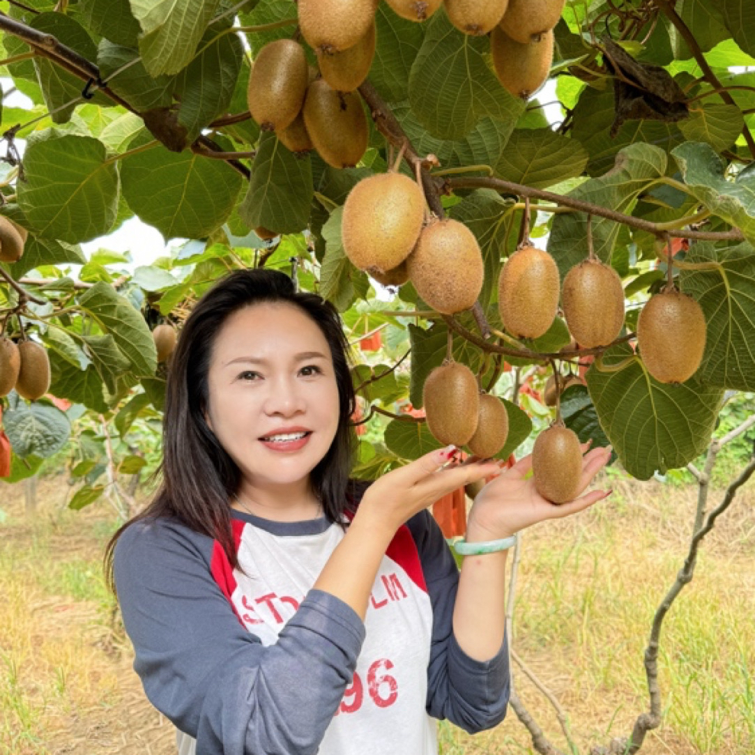 【鱼妈家】正宗眉县徐香猕猴桃产地直销甜蜜多汁彩箱发货坏果包赔
