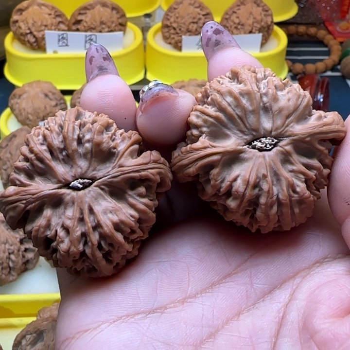 酔***顏弯弯核桃南江石弯弯核桃南僵尸