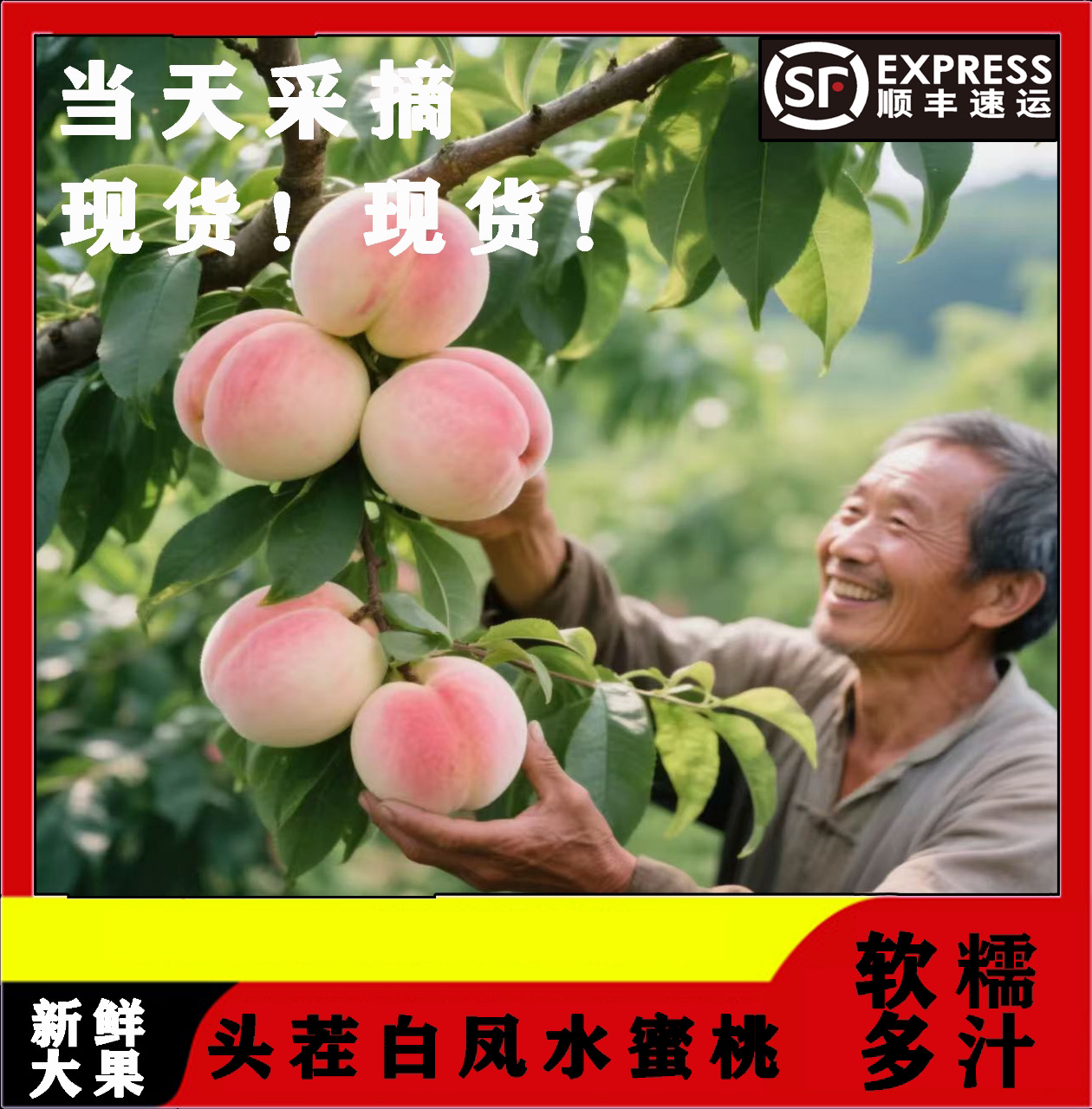正宗江苏白凤水蜜桃现采现发顺丰包邮应季水果孕妇老人孩子皆宜