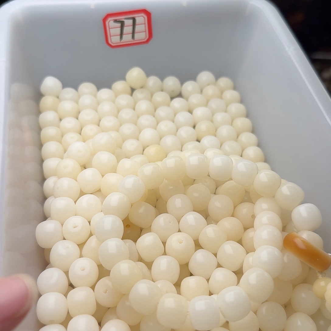 菩提根/象牙果吊坠120颗白桶11