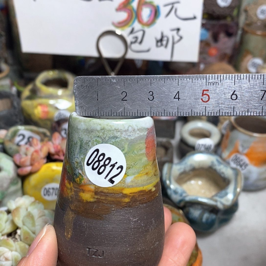 花盆拍5送一个小礼物