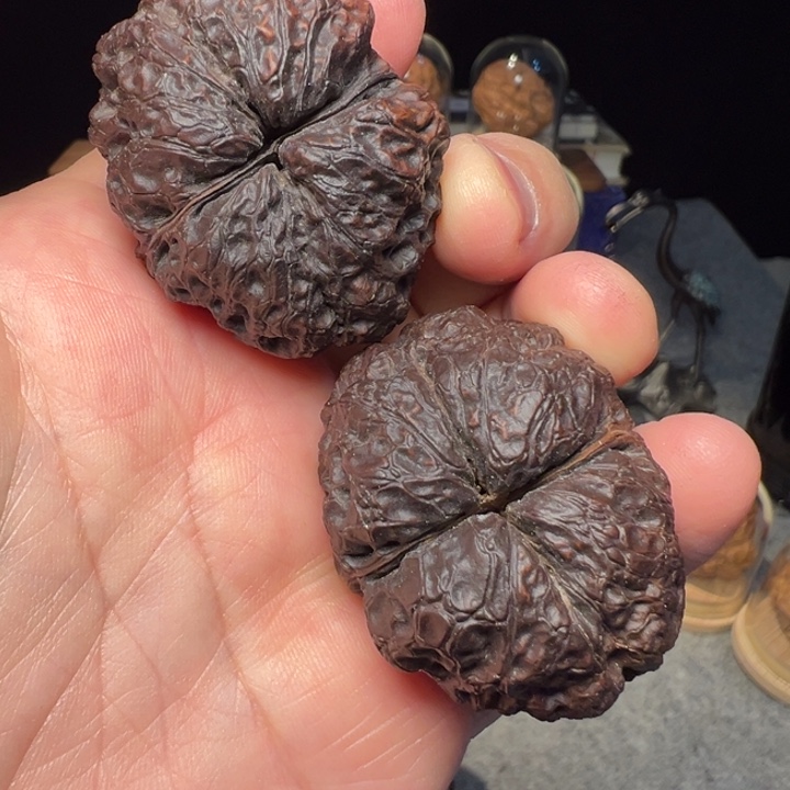 文玩核桃把件赤焰金蟾42mm