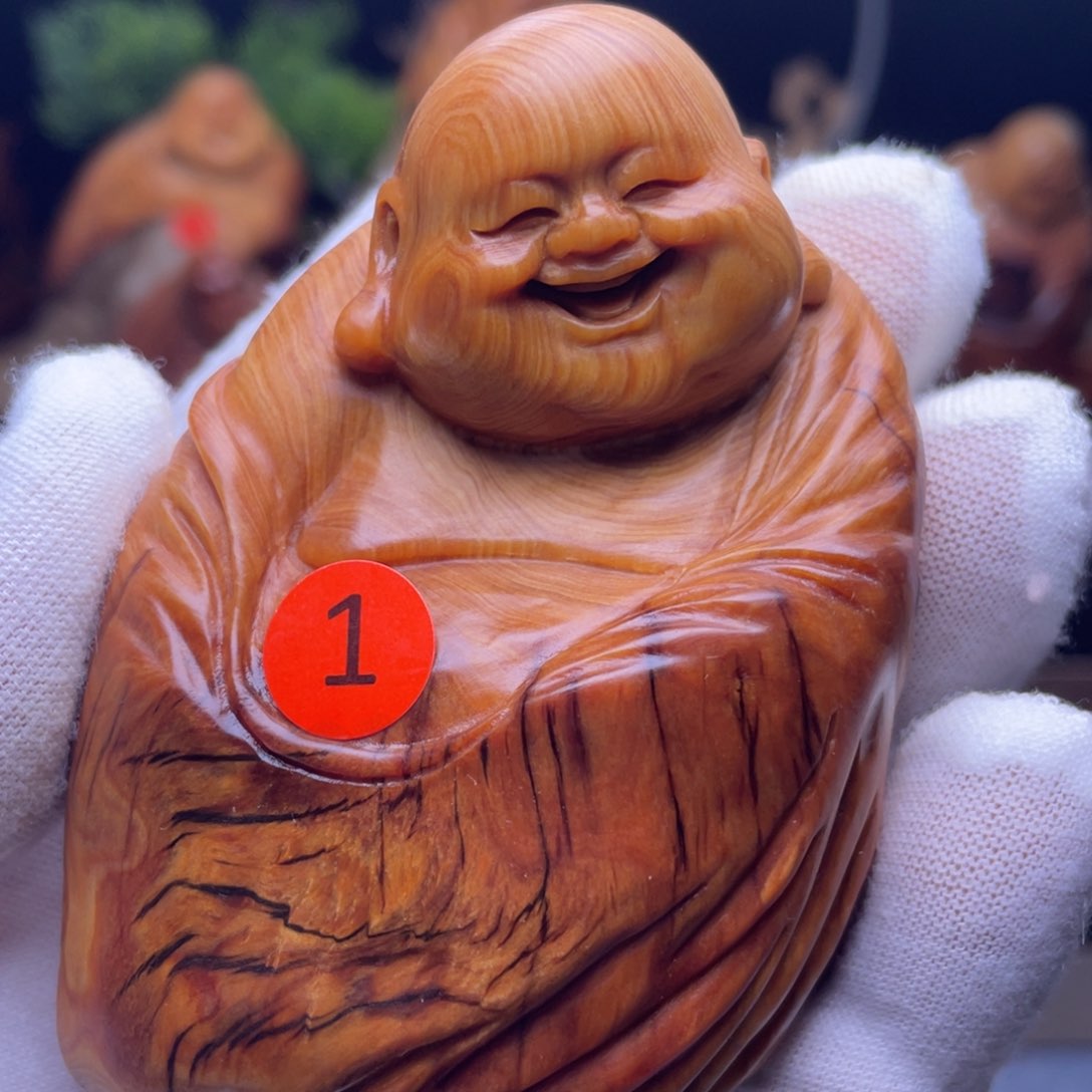 柏木（崖柏）3333333333333