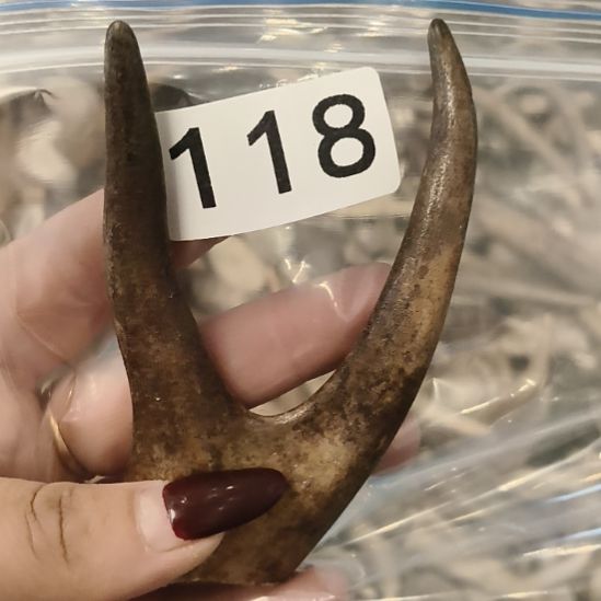 道***风鹿角鹿角鹿角鹿角鹿角鹿