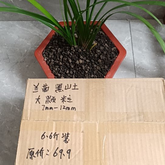 骑***星兰菌黑山土大颗粒6.6斤