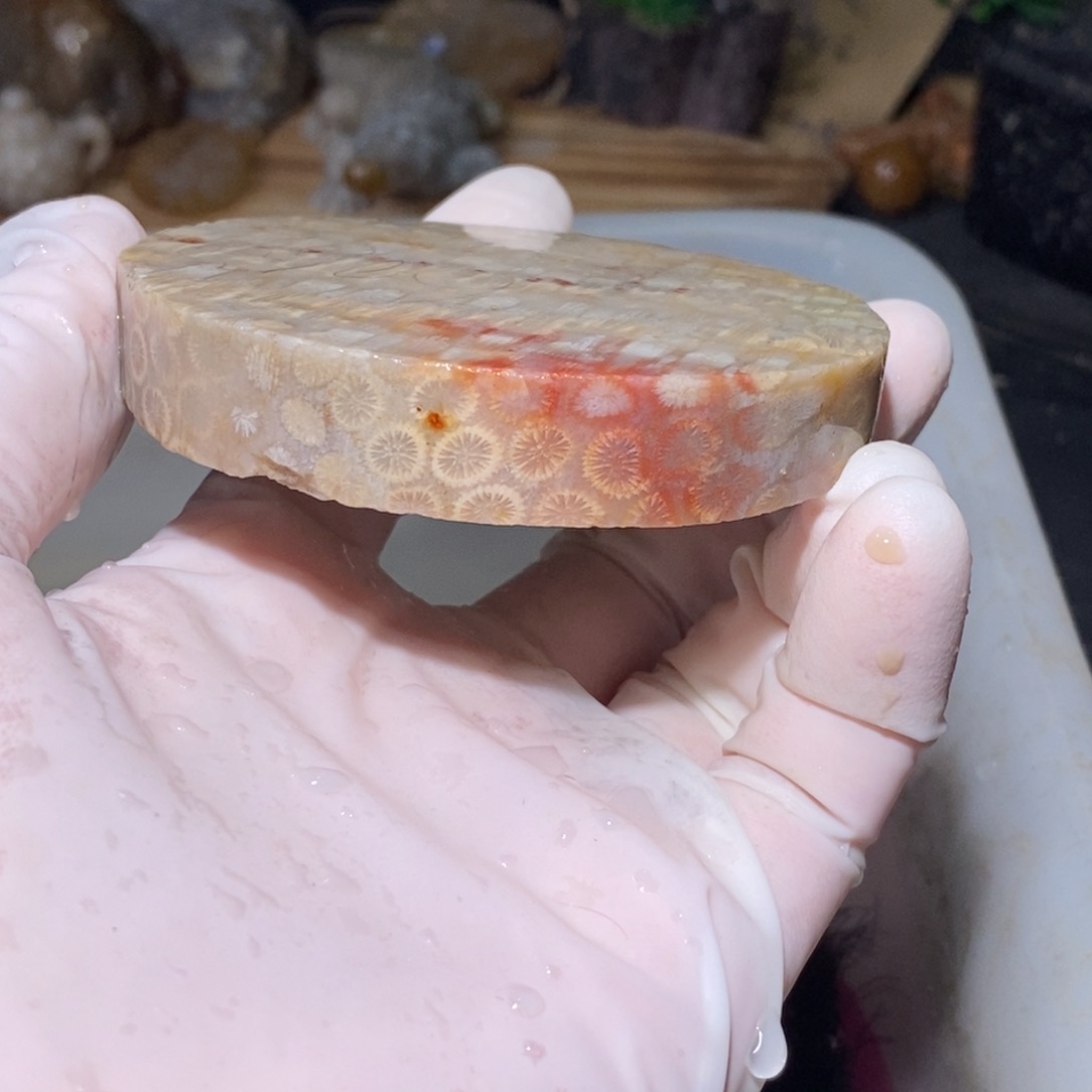 【闪购商品】硅化玉颈饰未镶嵌