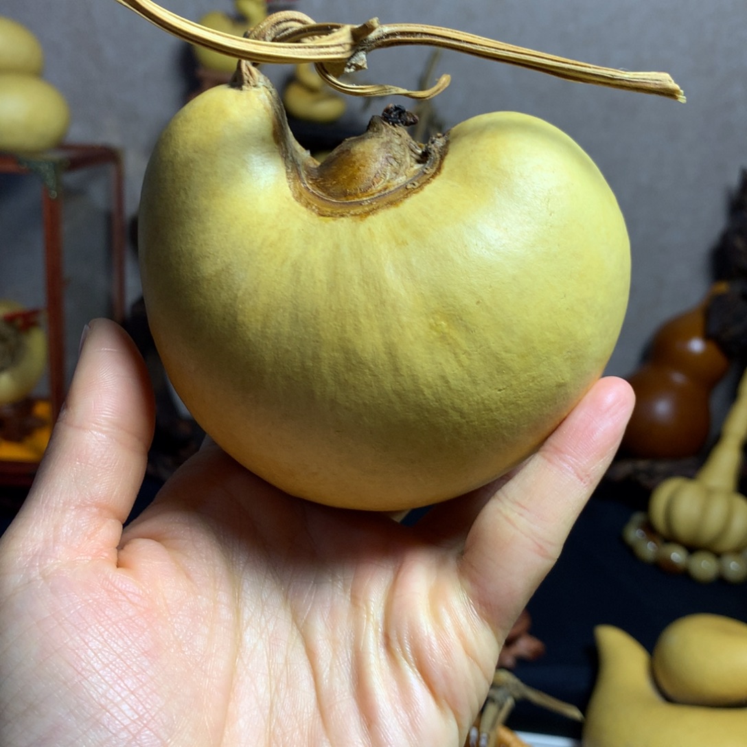 谈***生葫芦葫芦真的好漂亮呀