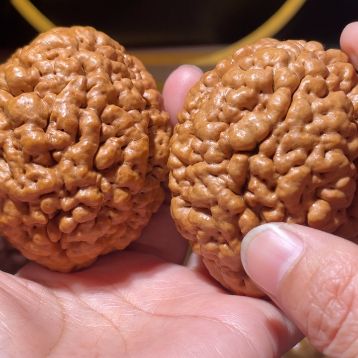 桃核把件疙瘩龙金刚菩提子