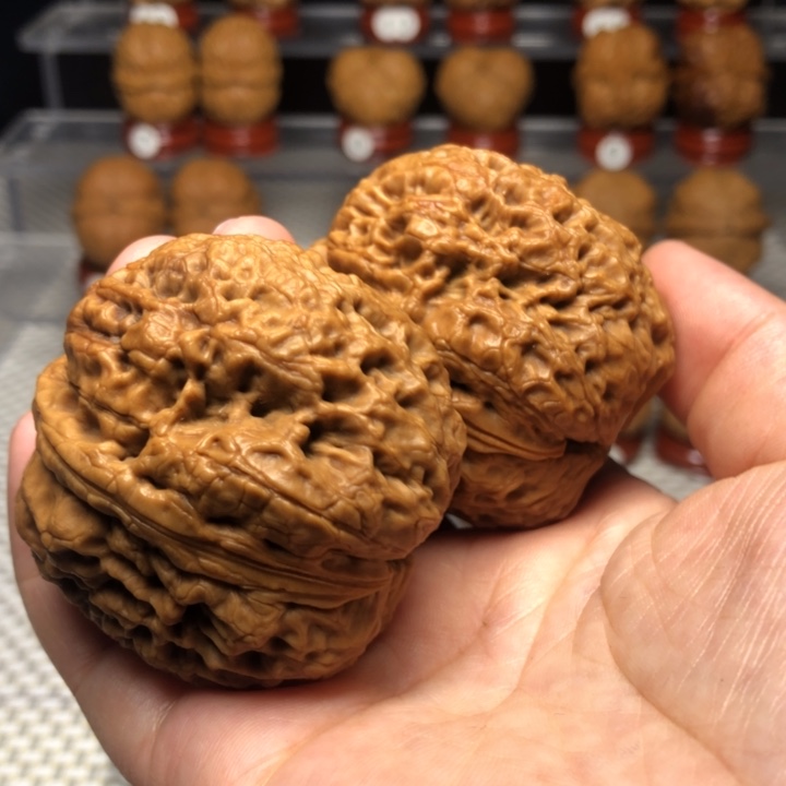 把件文玩核桃30虎头蟾