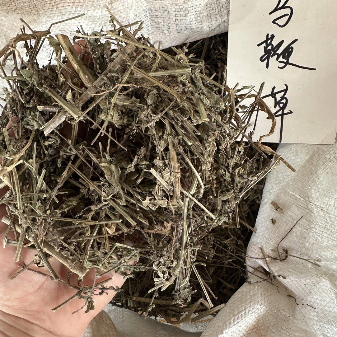 广西本地马鞭草 马边草 广西青草500g