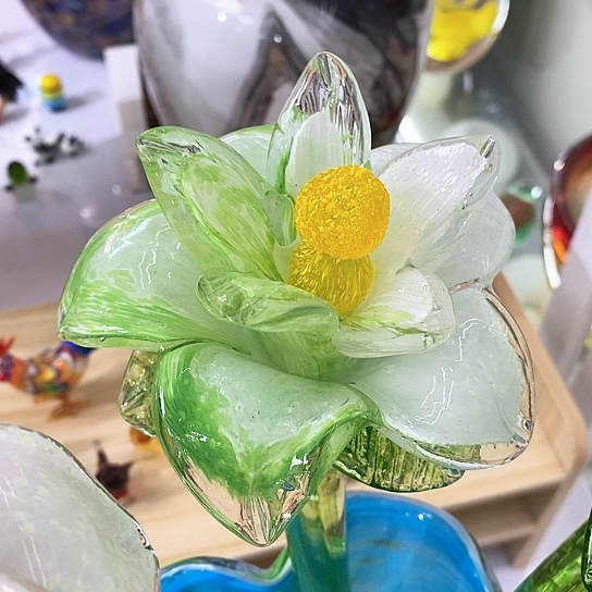 快***！夜光花高45厘米宽12厘米