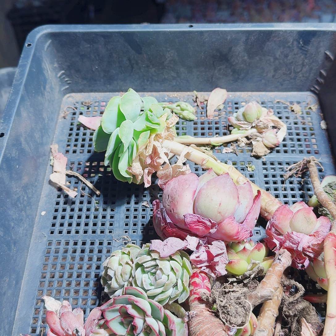 满20包邮零下拍保温箱9号无售后