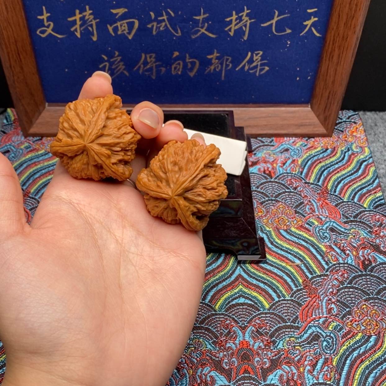 【闪购商品】不**世白狮