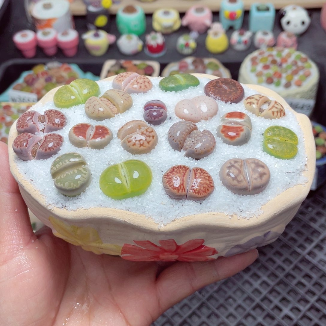 w3661 带盆土发货-零下地区拍保温箱