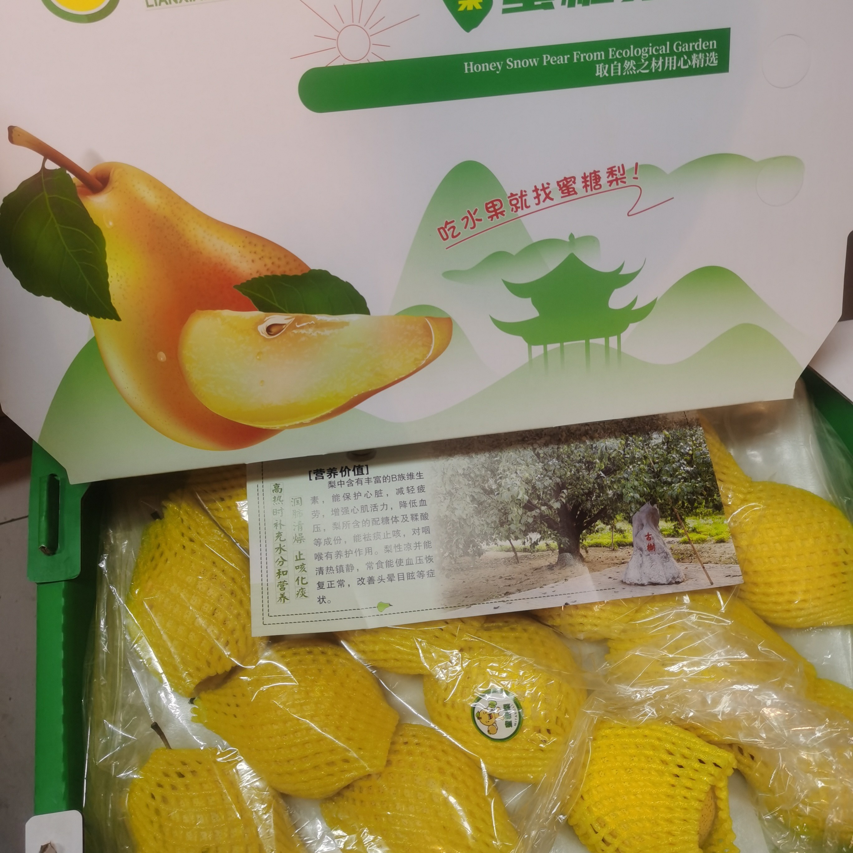 树熟蜂糖梨一箱毛重 8 斤左右