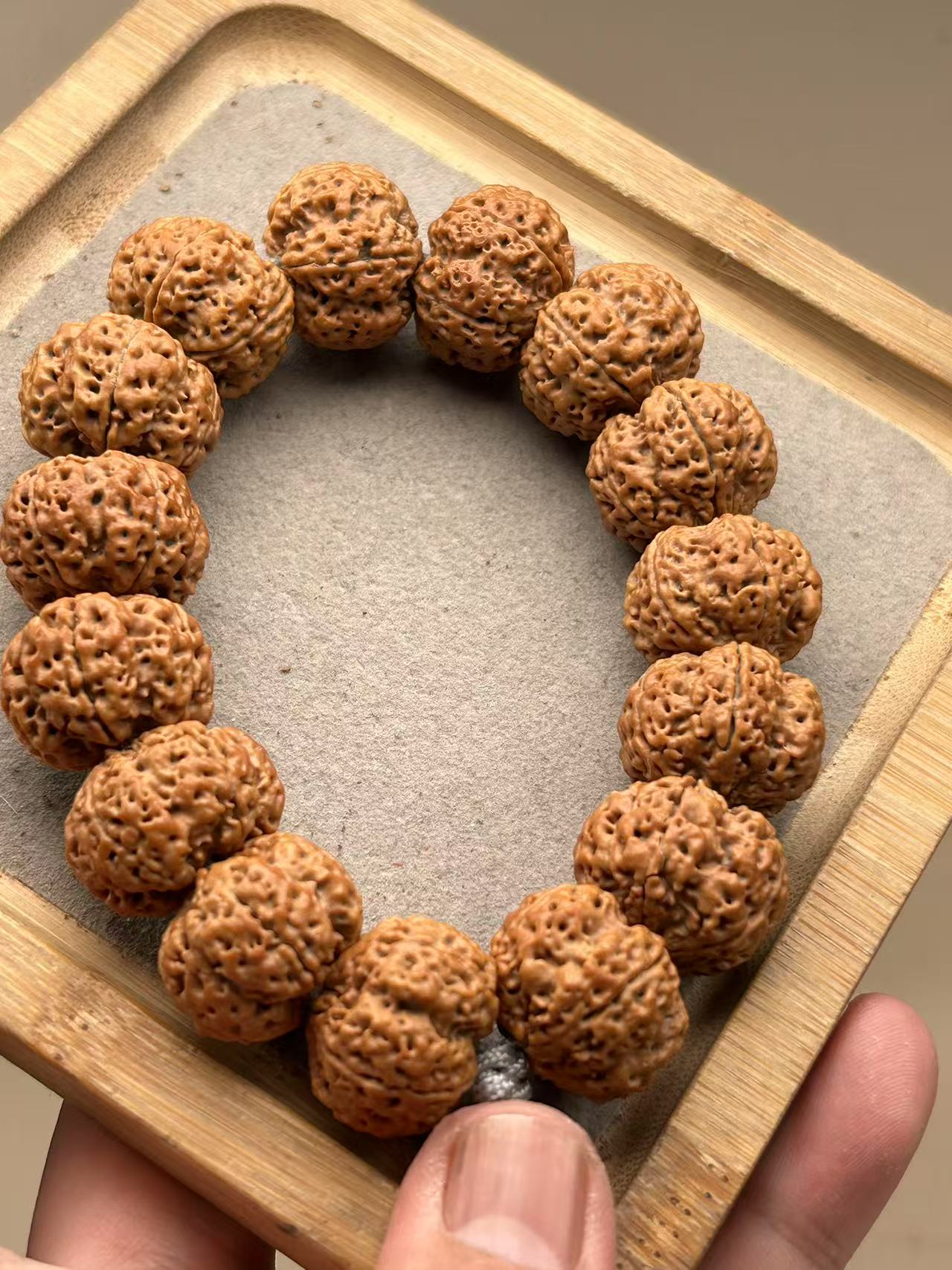 尼泊尔金刚菩提普世五号