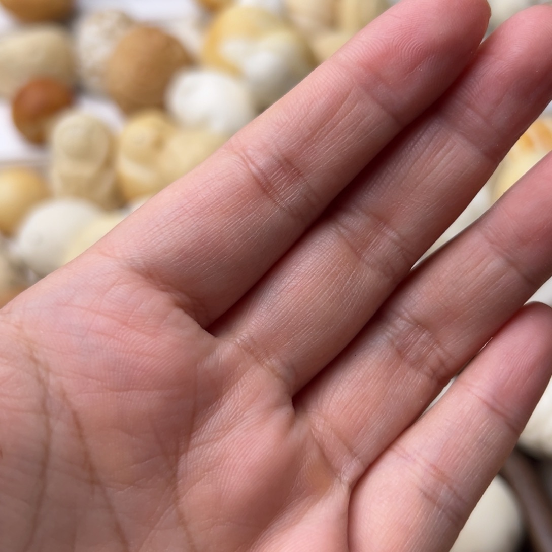 巷****菩提根/象牙果把件补链接