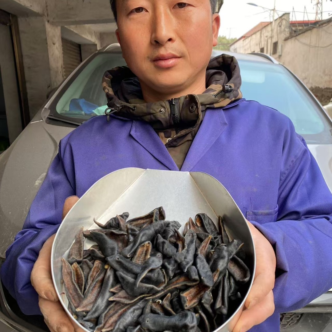 水蛭 湖北养殖水蛭手工挑选大个