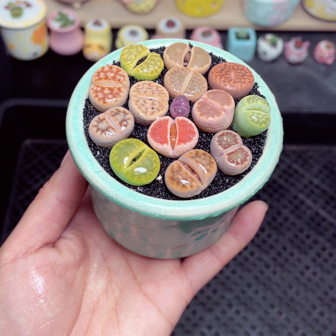 w8764 带盆土发货-零下地区拍保温箱