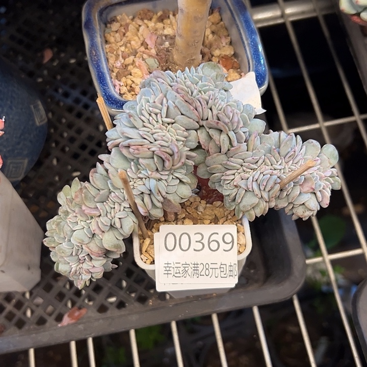 幸运的是我没有遇到过这样一