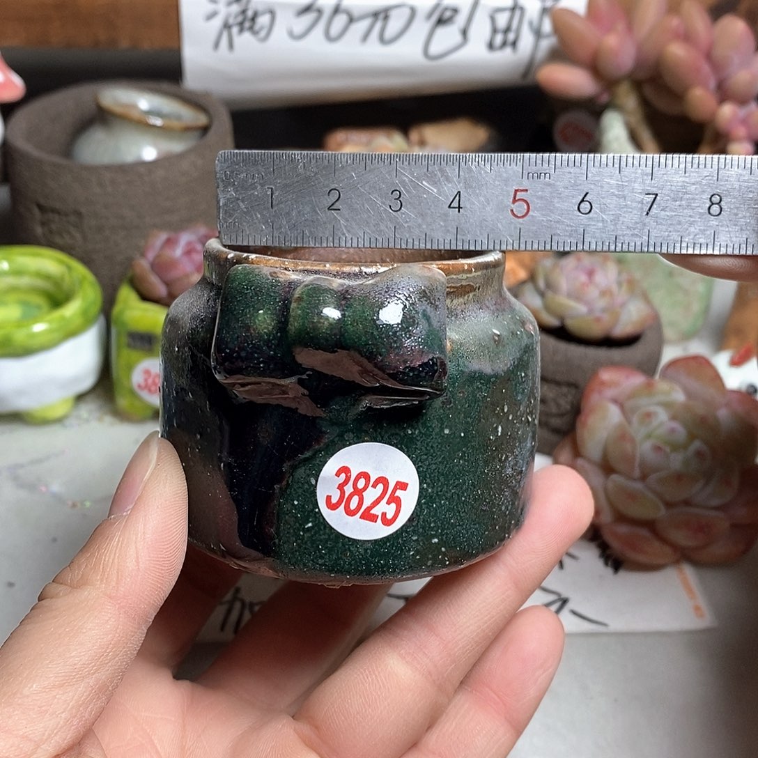 红陶拍5送一个小