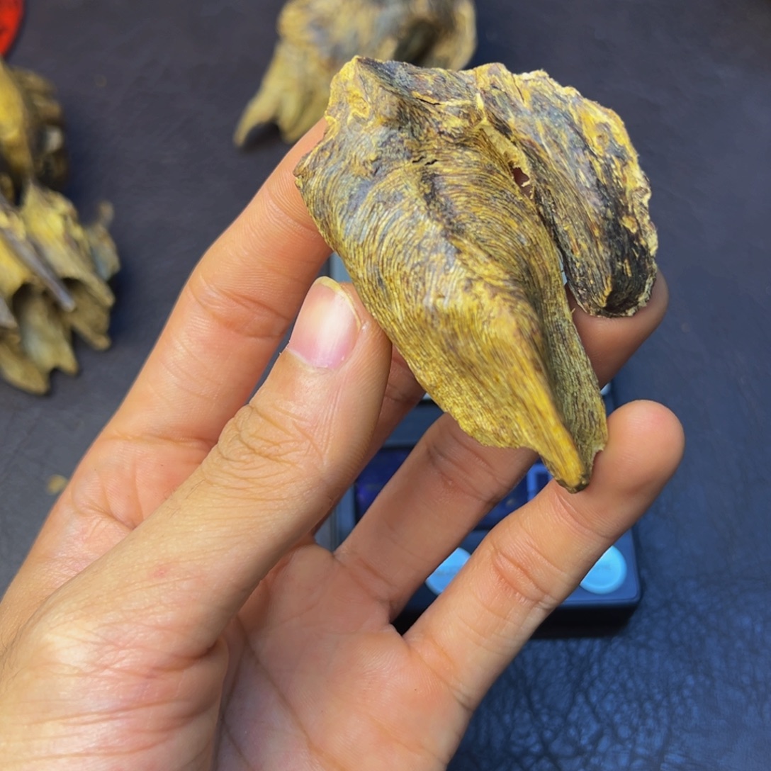 A***爪沉香沉香碎屑陆河壳子