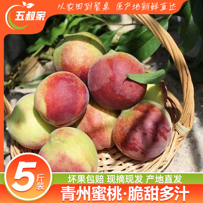 正宗山东青州蜜桃桃子新鲜脆桃脆甜多汁硬桃毛桃非水蜜桃现摘整箱