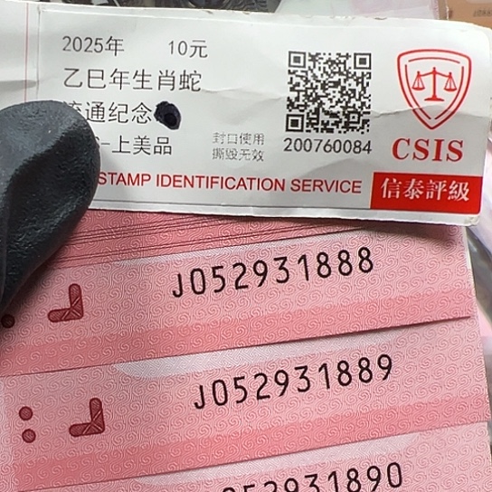 J052931881标十简易封装蛇