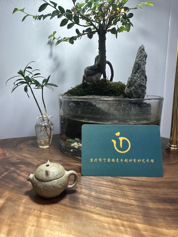 青手制砂紫砂壶会员专享链接