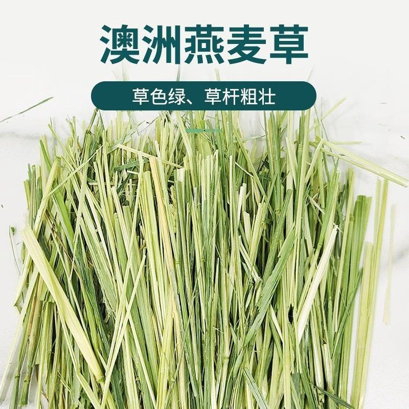 澳洲燕麦草兔子豚鼠龙猫干草黄金燕麦草500g高纤嫩绿兔兔干草饲