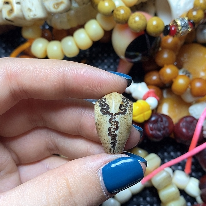 其他驼骨其他配饰