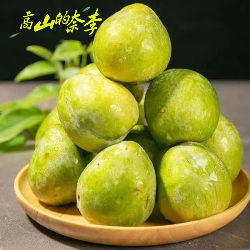青奈李新鲜现摘果园直发