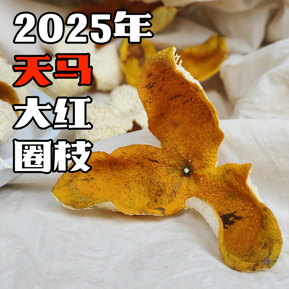 【天马二村庭州围】2025年天马圈枝大红皮新会陈皮