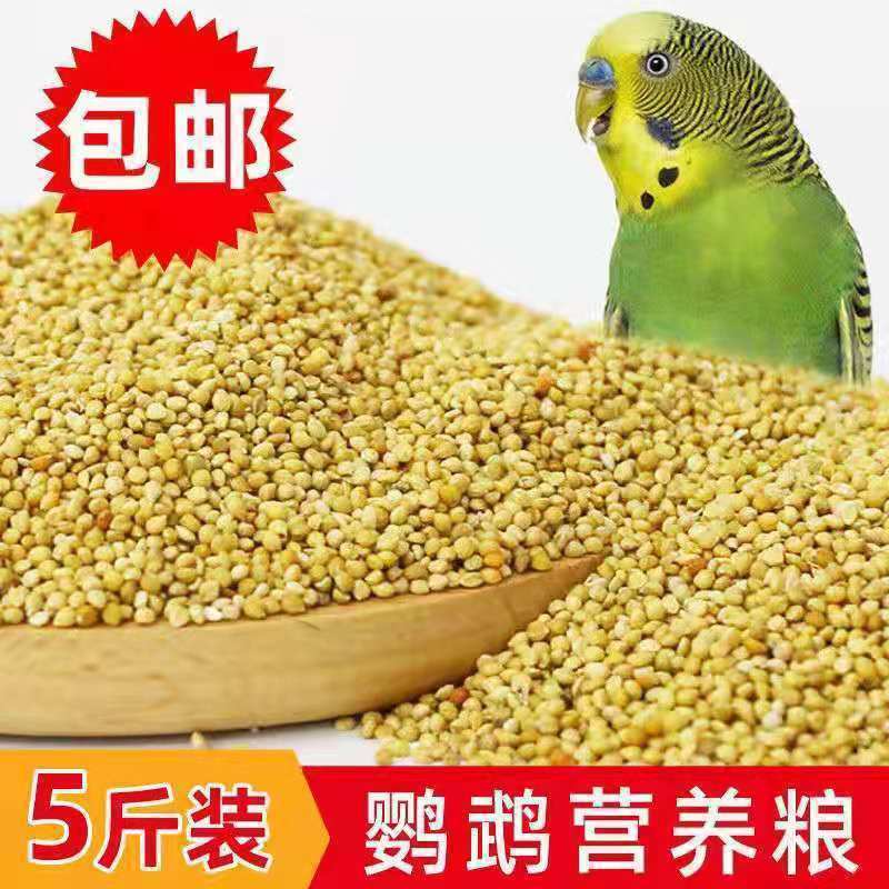 鹦鹉类虎皮鹦鹉饲料鸟食玄凤谷子牡丹粮食文鸟带壳黄雀鸟粮包邮
