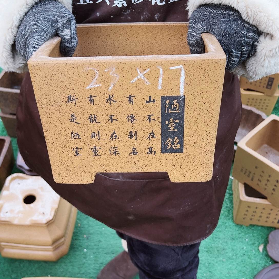 紫砂花盆紫砂花盆