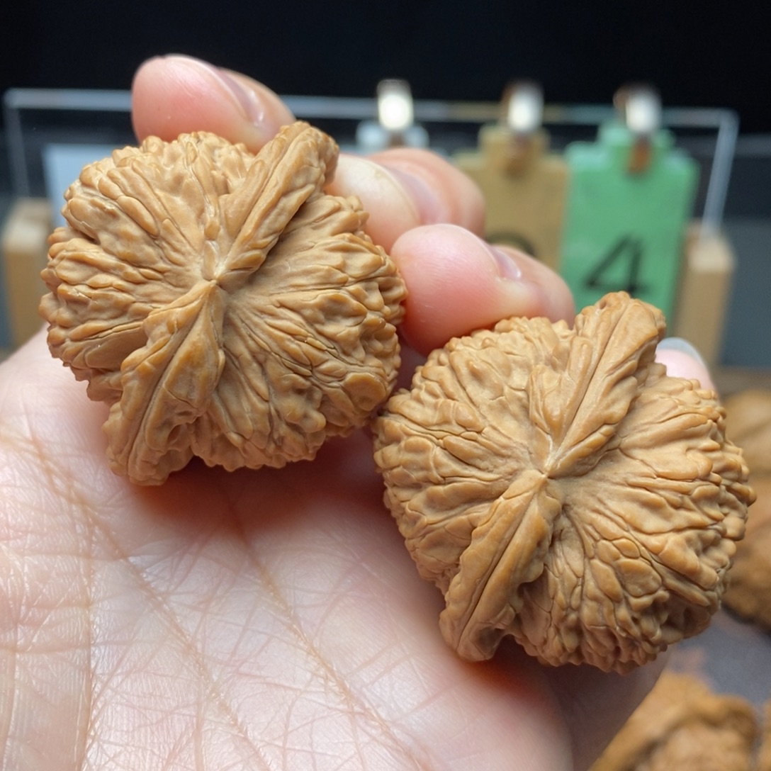 王***爷文玩核桃把件白狮子41