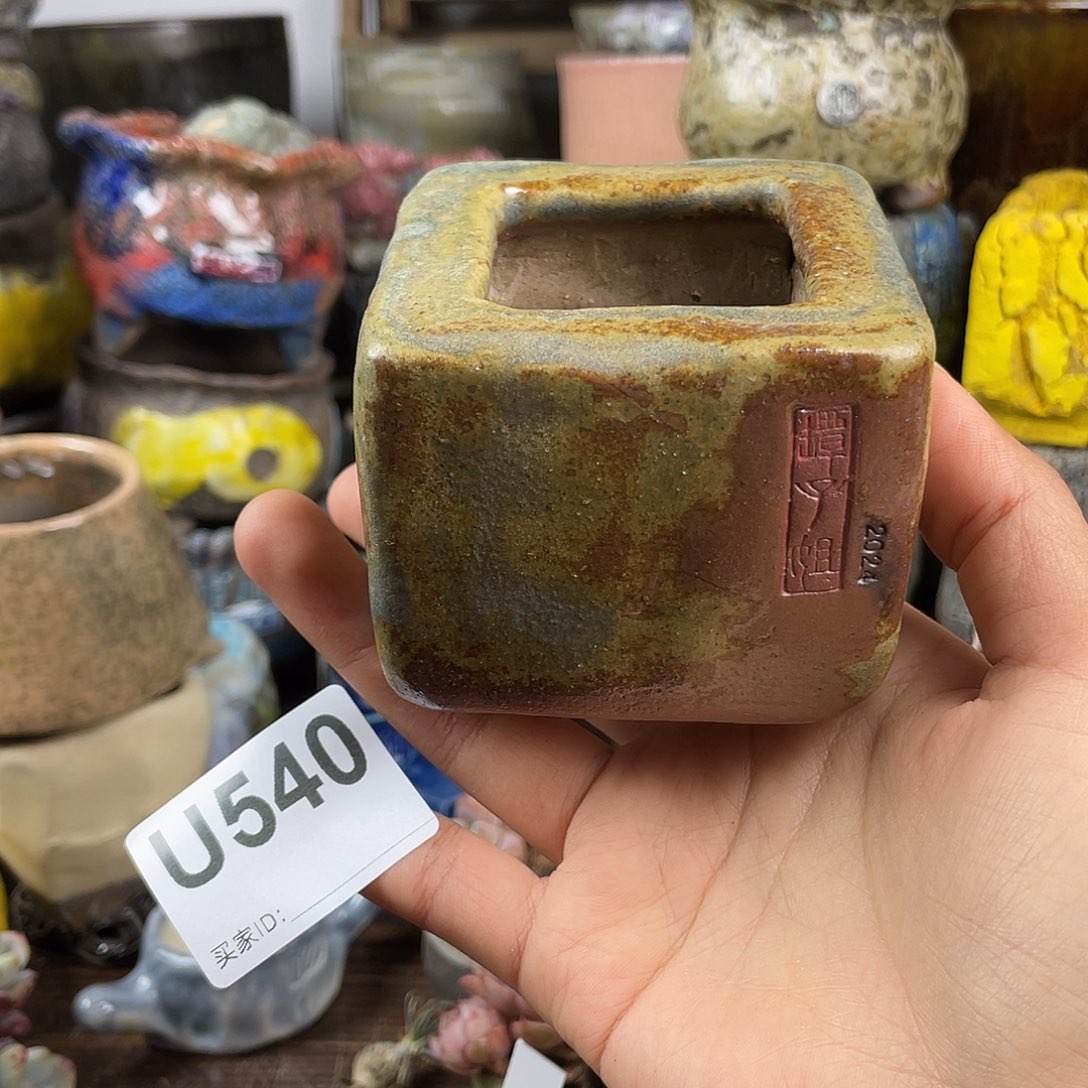 默认微次 元旦福利 坛子姐花盆