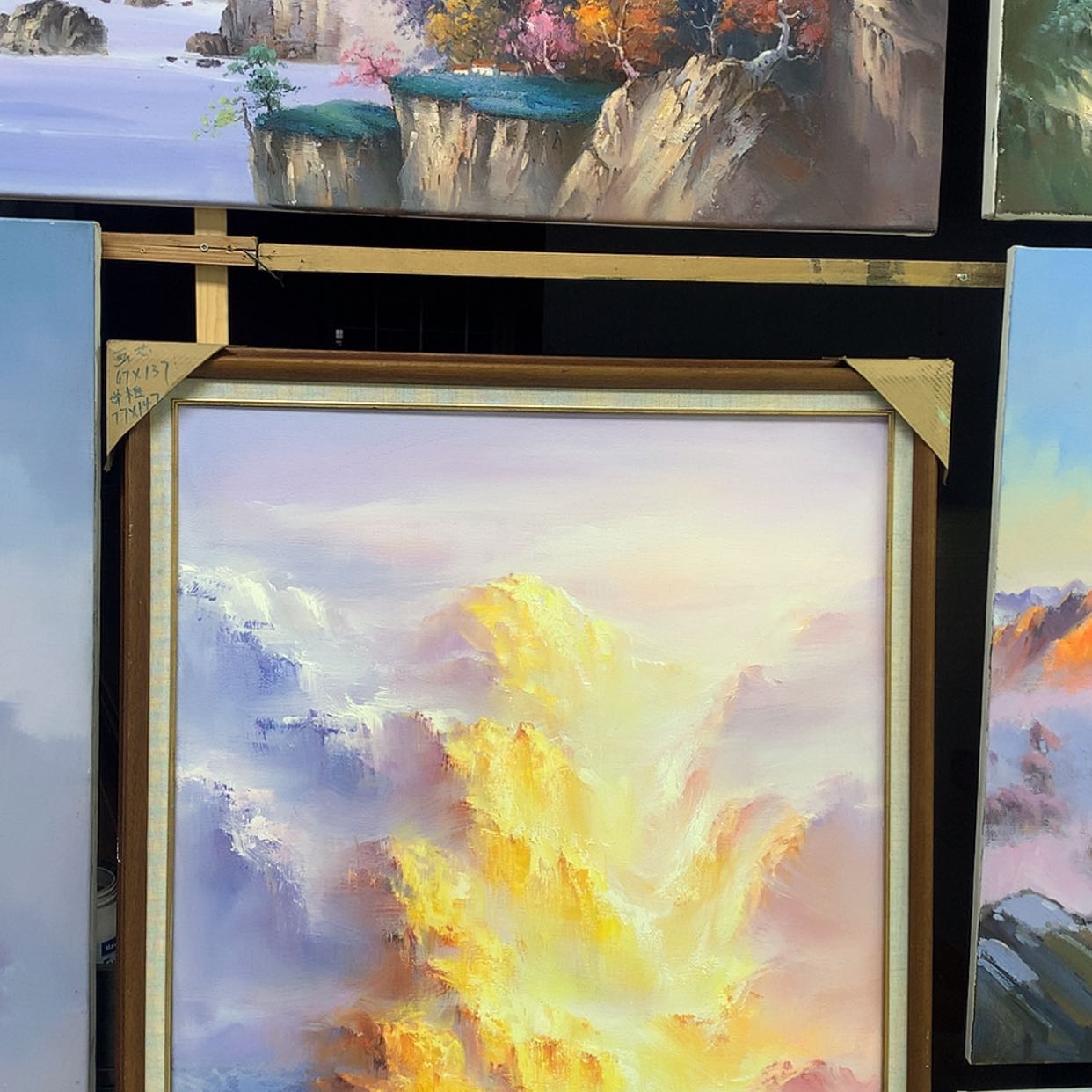 【闪购商品】竖款蒜****）