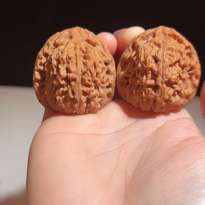 一***风大叶紫檀（黑酸枝木类）