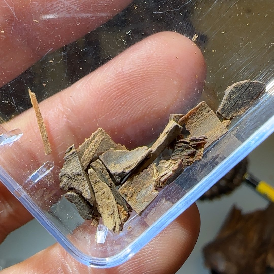 沉香沉香碎屑0.34克富森红土沉水