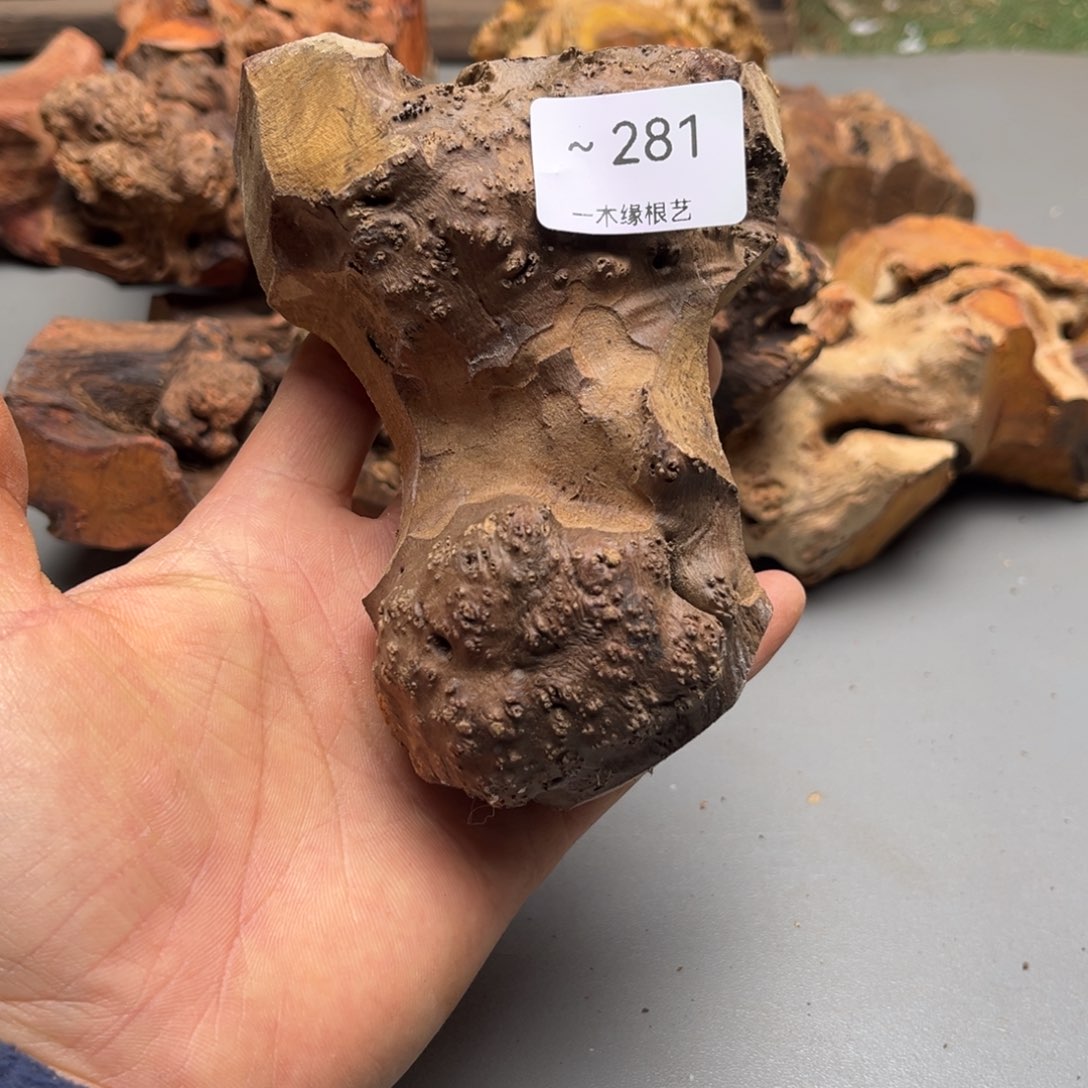 糊***好无花朵0000000000000281