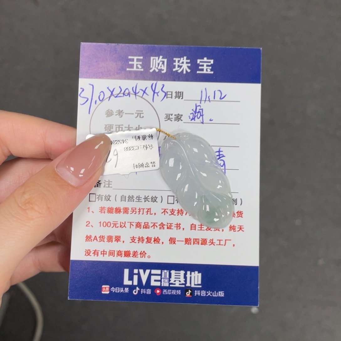 嗨***」翡翠未镶嵌颈饰叶子